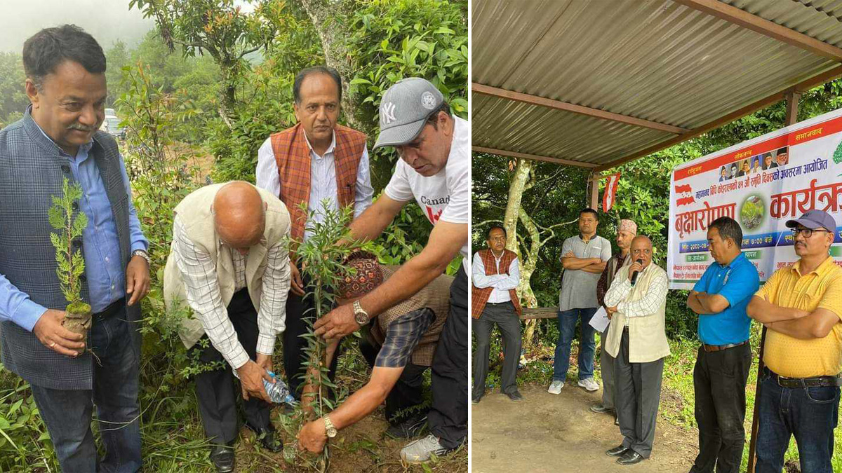 विपी स्मृथि दिवसमा काभ्रे कांग्रेसले गर्‍यो वृक्षारोपण